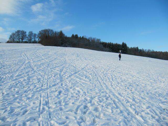 Die "Skipiste" am Mühlbügel!