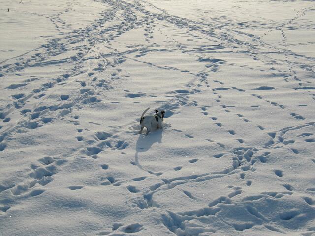 ... welche Spur ist die richtige ;-))