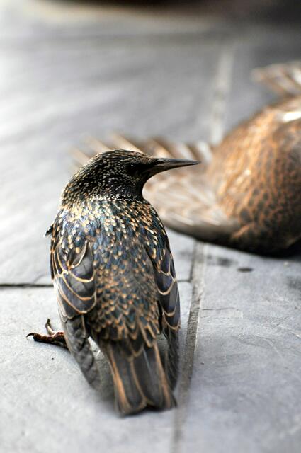 Vielleicht kennt sich ein Leser aus