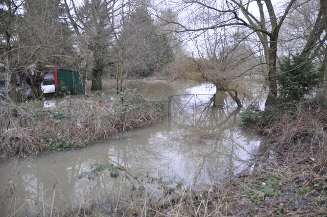 Auch die Kleingärten am Wehrberg stehen gut unter Wasser. Eigentlich wie jedes Jahr...