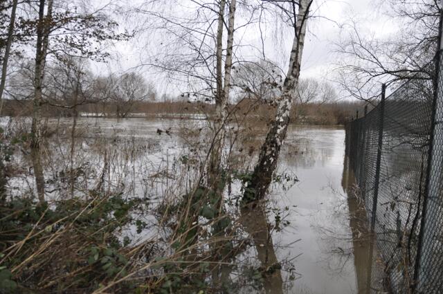 Hinter der Kläranlage der Chemiefabrik. Schon ein gutes Stück auf ihrem Gelände. - VORSICHT -