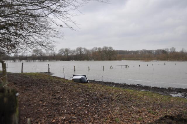 Pferdekoppel am der Leinestrasse, hier steht kein Pferd.
