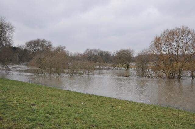 Die Leine an den Maschwiesen hinter dem Bürgerpark. Reichlich durchgeweicht die ganze Geschichte.