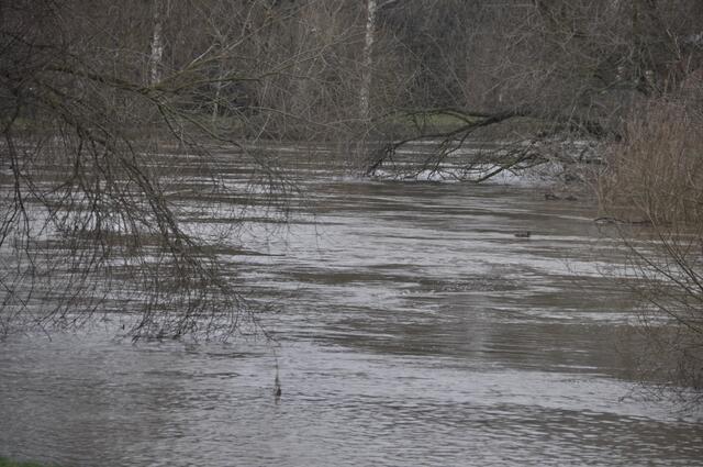 Hier noch mal die Strömung der Leine. Richtig heftig geht es hier ab, an unserem Hausfluß.