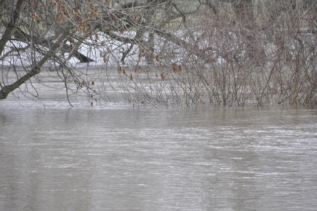Schnelle Schmelzwasser unter Bäumen und Sträuchern an der Leine.