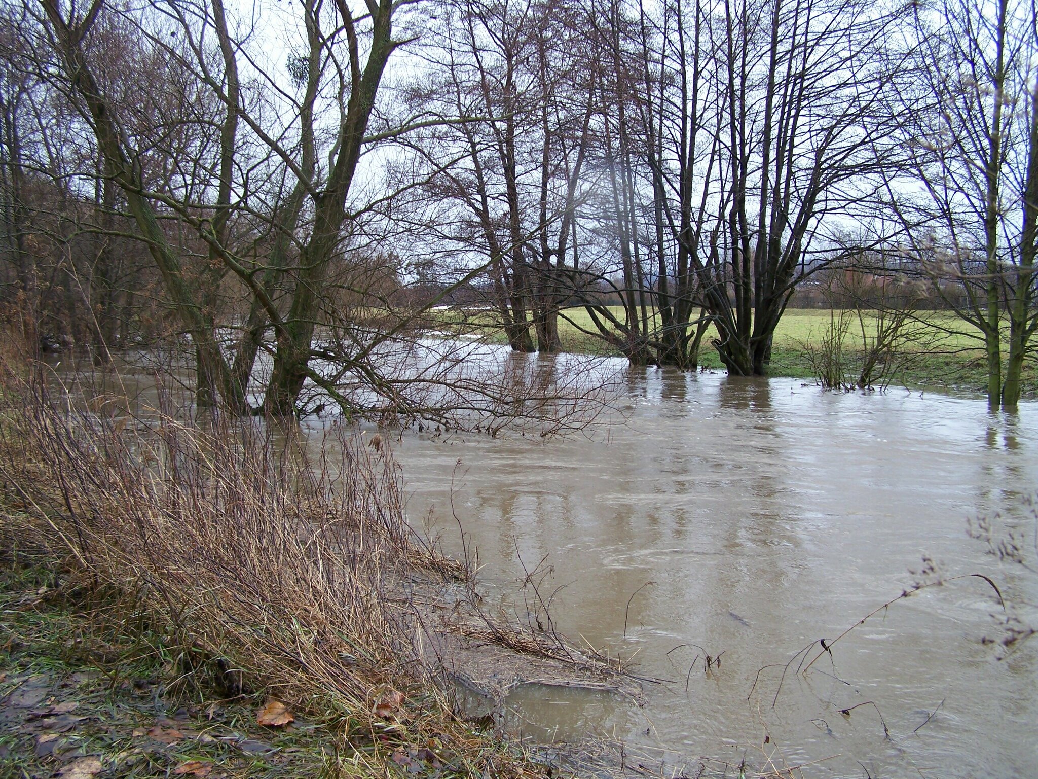 Innerste Innerste; Land unter...... - Hohenhameln