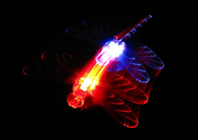 Winternachtfeuerlibellen beim Paarungstanz