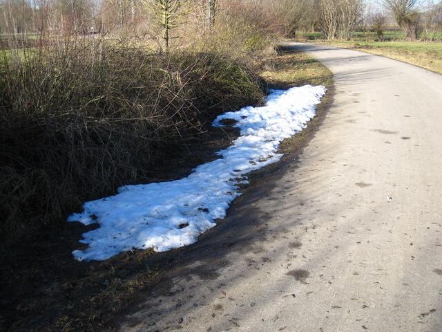 Rest-Schnee 16.1.2011