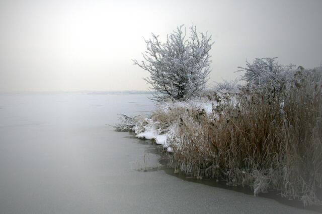 Foto (Ruth)
