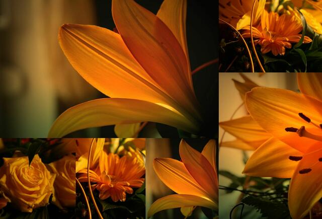Fotocollage (Ruth)