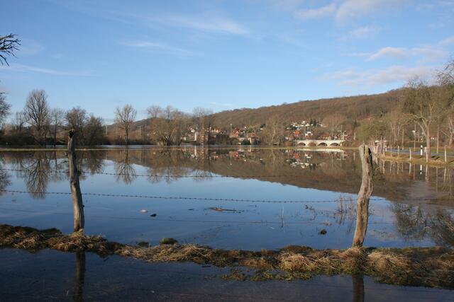 Saalewiese bei Großheringen