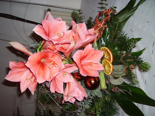 Lachsfarbener Blumentraum