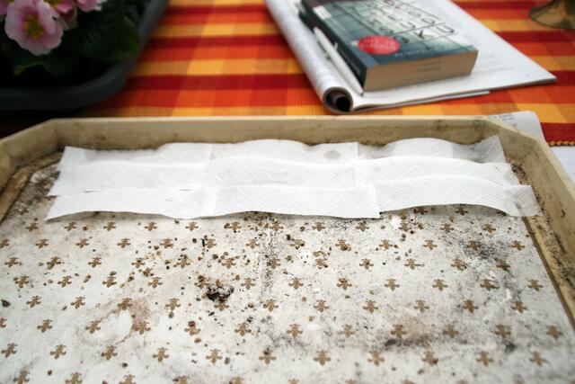 Alte Schale zum Auslegen und Befeuchten der Streifen