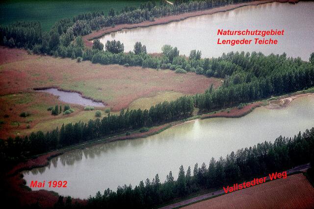 Mehrere unterschiedlich große Stillgewässer weisen ausgedehnte Flachwasserzonen sowie großflächige Schilfröhrichte mit Weidengebüschen auf.