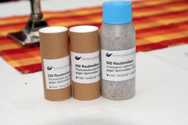 Meine Lieferung von zwei Raubmilbenarten.