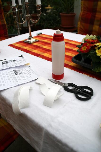 Damit das Granulat mit den Milben nicht von den Pflanzen abrieselt, Haushaltspapier in Streifen schneiden, anfeuchten und darauf das Granulat streuen