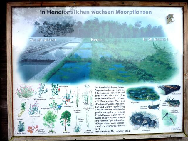 In dieser Informationstafel spiegelt sich die Landschaft: Was ist die Abbildung und was die reale Landschaft?
