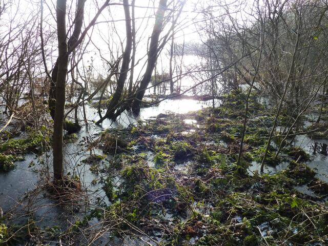 Wasserlandschaft