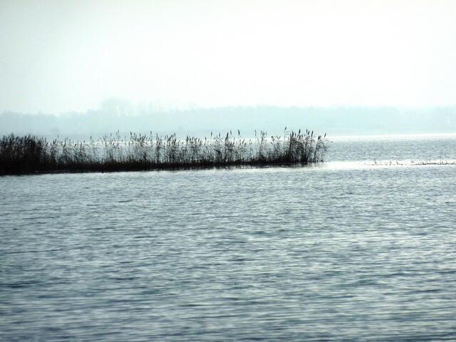 Noch liegt dichter Nebel über dem Steinhuder Meer