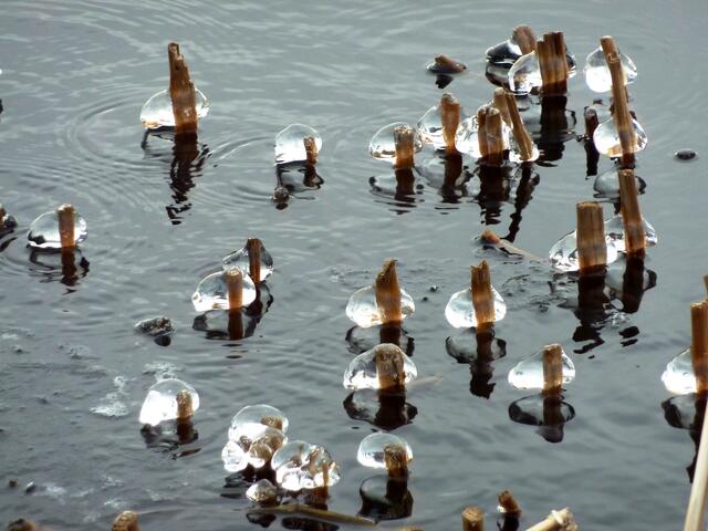Dicke Eisperlen haben sich angelagert und spiegeln sich im Wasser.