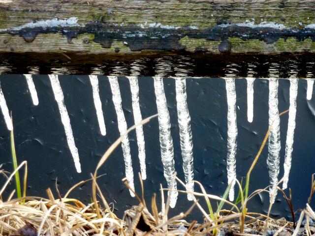 Unter dieser Wegbefestigung aus Holz ist das Erdreich abgesackt. Die Eiszapfen erreichen bald den Wasserspiegel.
