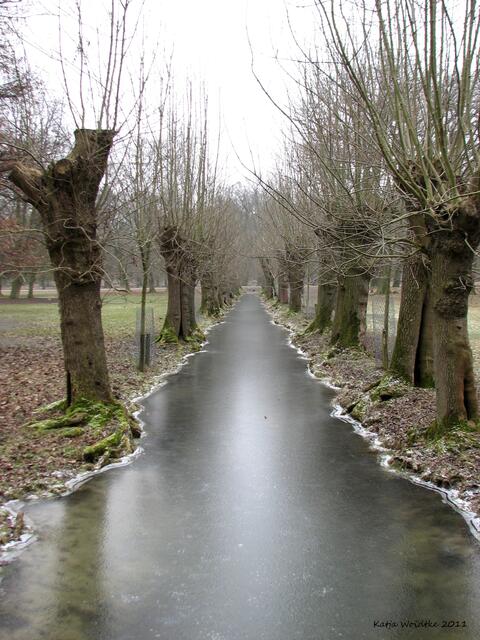 Bachlauf im Tiergarten Hannover (©Katja Woidtke)