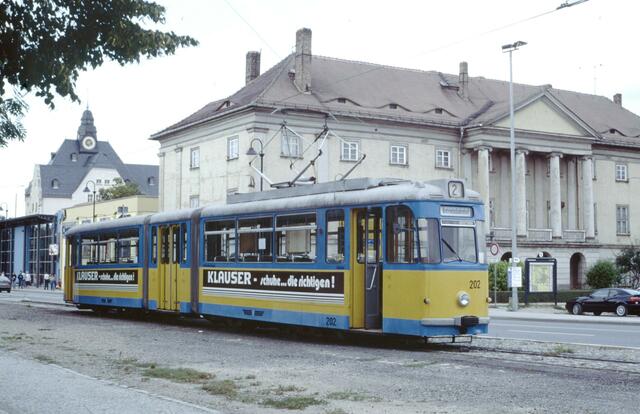 Wenzelsring-Vogelwiese