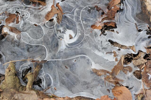 Kein Maler kann es besser.