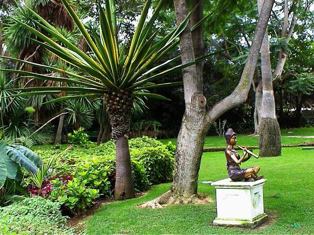 Thailändischer Flötenspieler im Park des Hotels Botanico