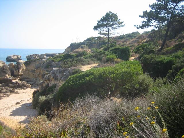 Algarve - südliche Atlantikküste, Felsalgarve