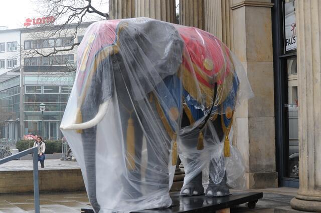 Regenmantel für ein Elefanten.