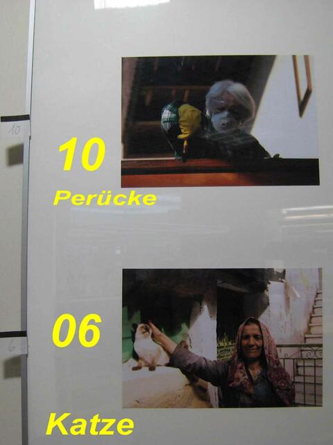 10 Perücke + 10 Katze - Foto-Ausstellung  zum Tag der Frau