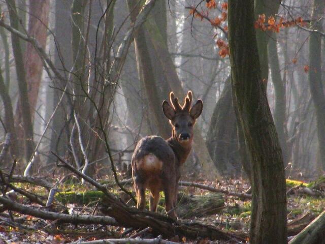 was macht der Mensch denn da???
