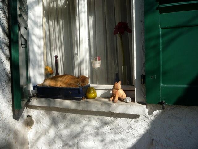 warmes Plätzchen in der Frühlingssonne