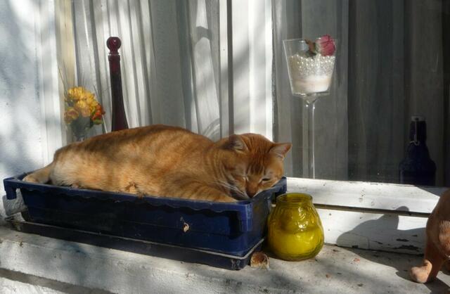 ein Auge kann man ja riskieren