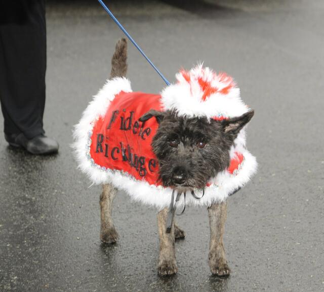 Hunde dürfen auch lustig sein. Karneval in Hannover 2011.