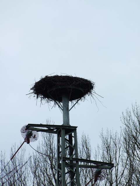 Das leere Storchennest