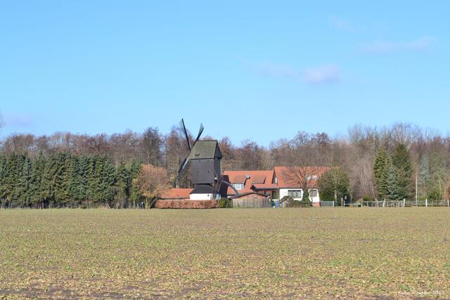Blick auf die Bockwindmühle Kaltenweide von der Wagenzeller Strasse (©Katja Woidtke)