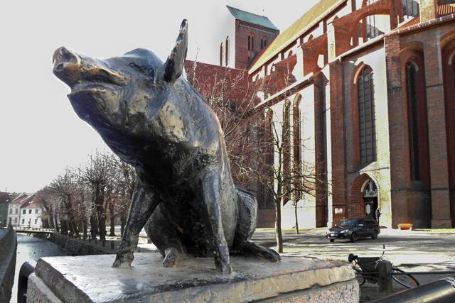 Eines der vier lachenden Bronzeschweine auf der Brücke, auf der es über die Mühlen- und die Frische Grube in Richtung St. Nikolai (Hintergrund) geht.
