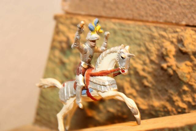 Da ist er - der Prinz auf dem Pferd !   ;-)