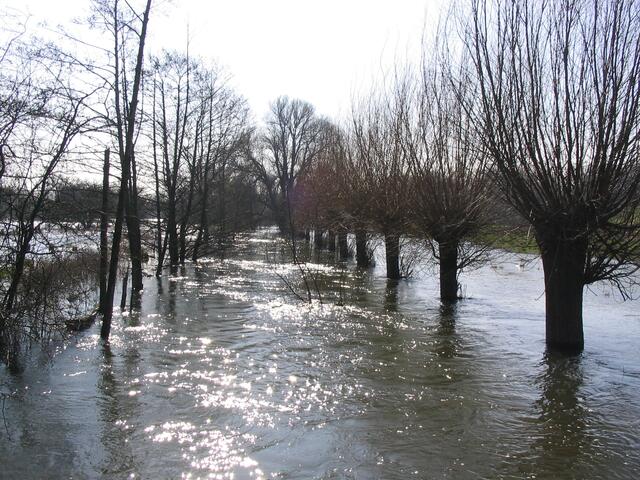 Die Leine zeigt sich mit Wasser spendabel und überschwemmt sogar die kleine Ihme