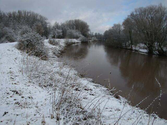 Auch der Leine steht ein weißes Kleid