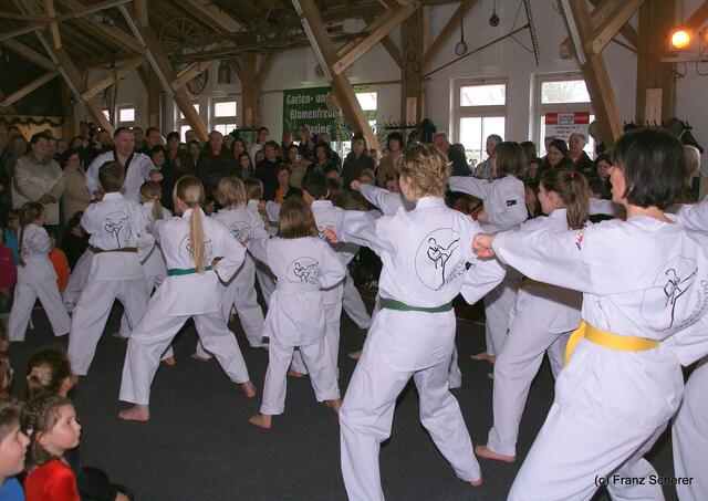 Das Aichacher Taekwondo Studio (ATS) e.V. zeigt Kampfkunst
