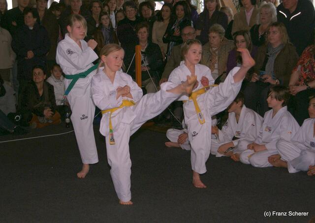 Das Aichacher Taekwondo Studio (ATS) e.V. zeigt Kampfkunst