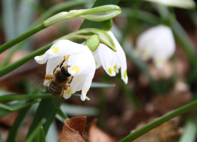 Jeder braucht die Natur!