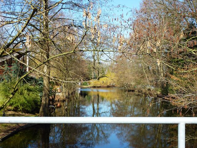 Blick von einer Brücke in einen "Fluss"arm