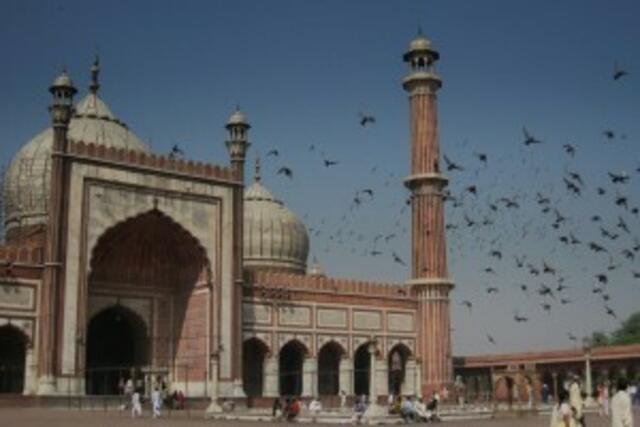 Abenteuer Indien | Foto: Förster