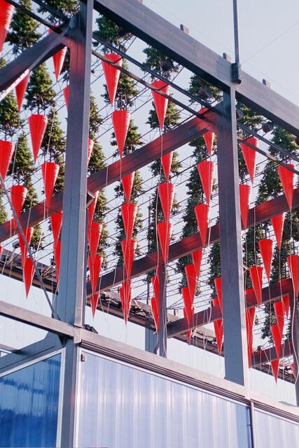 (© Susanne Schumacher für OKOK TELEVISION)