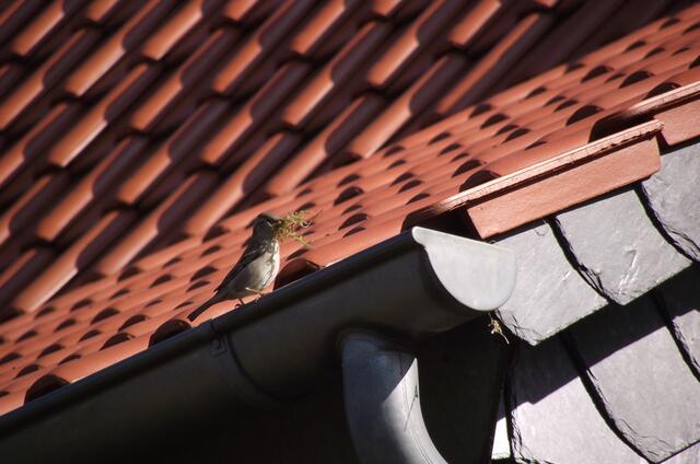 weiche Polsterung fürs Nest