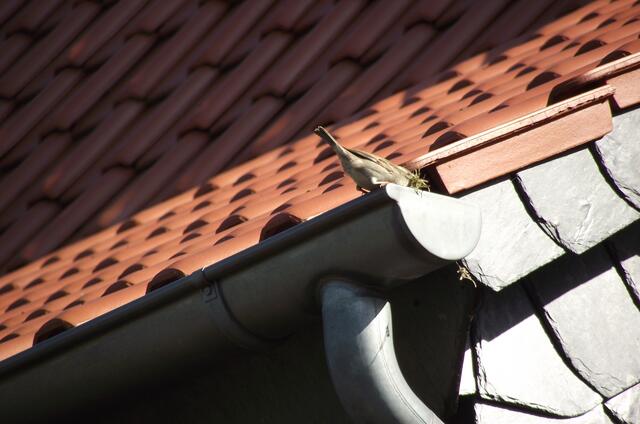 schnell hinein